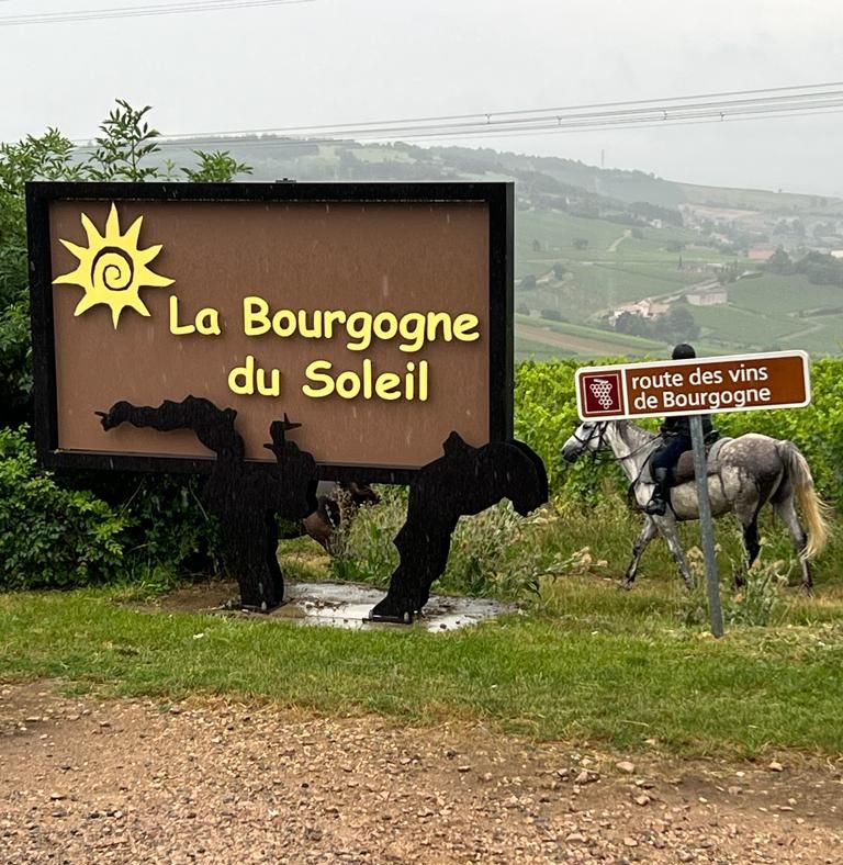 Balade &agrave; cheval au coeur du vignoble de Bourgogne