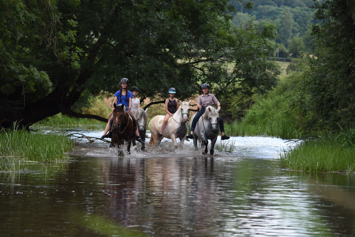Camp &eacute;questre pour ado avec randonn&eacute;e &agrave; cheval en Bourgogne